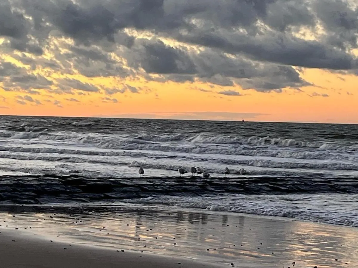 Casino Beach Middelkerke