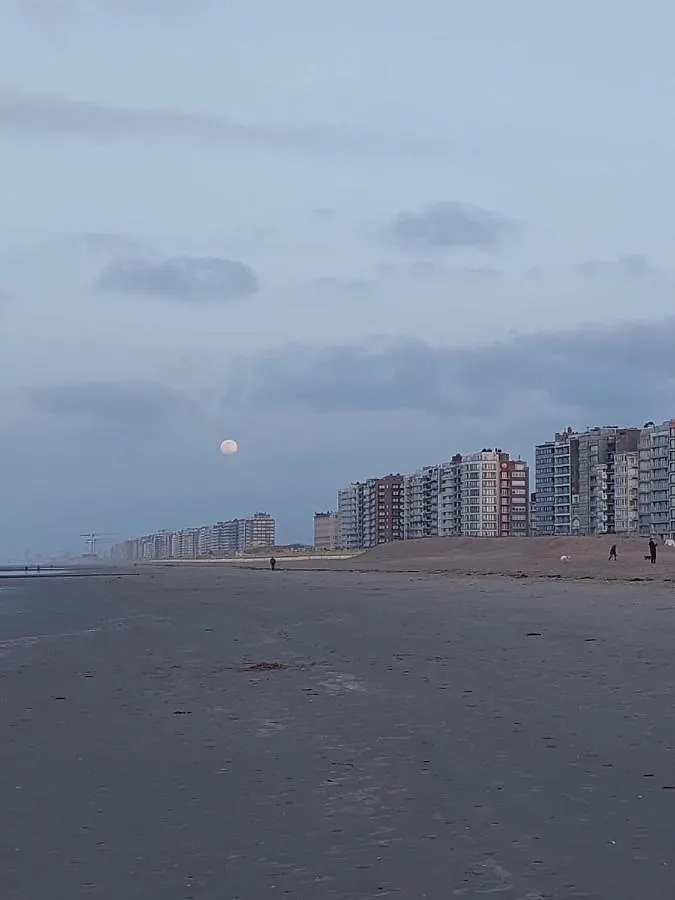 Casino Beach Middelkerke Apartment